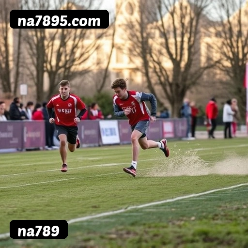 Níveis do programa VIP da na789